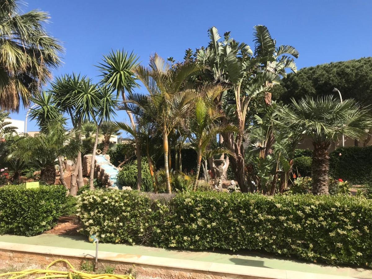 Le Palme Tropicali Apartment San Vito Lo Capo Exterior photo